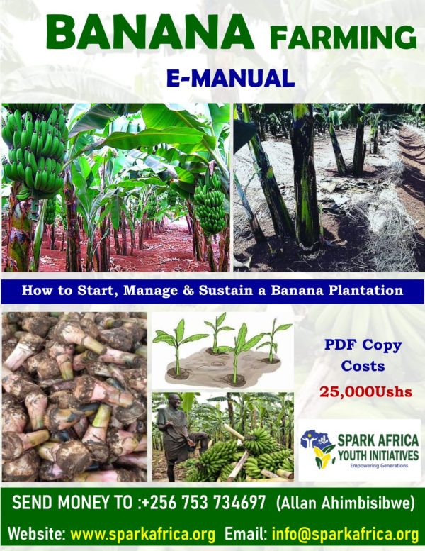 Farming E- Books (Banana farming, Farming for business, Urban Farming, Making organic fertilizers etc) - Image 3