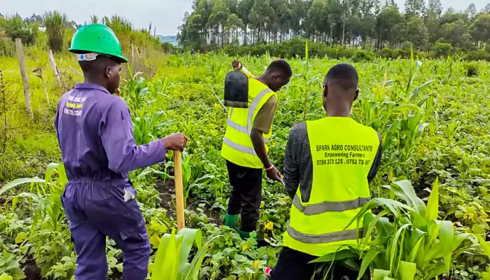 farm_layout_and_planning_services_uganda_africa