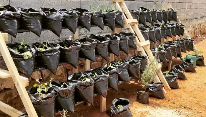 smart_backyard_gardening